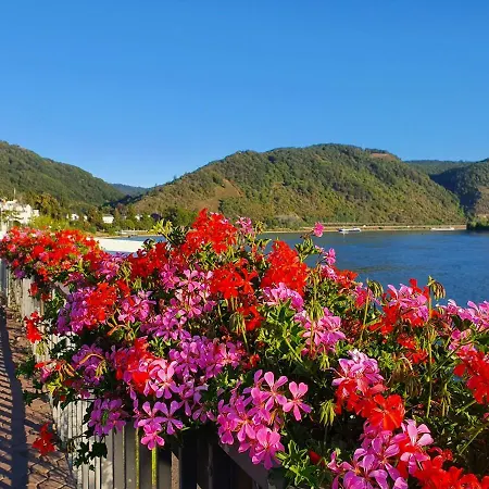 Grosse Mit Rheinblick Apartmán Boppard