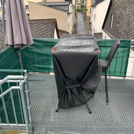 Apartment Grosse Mit Rheinblick
